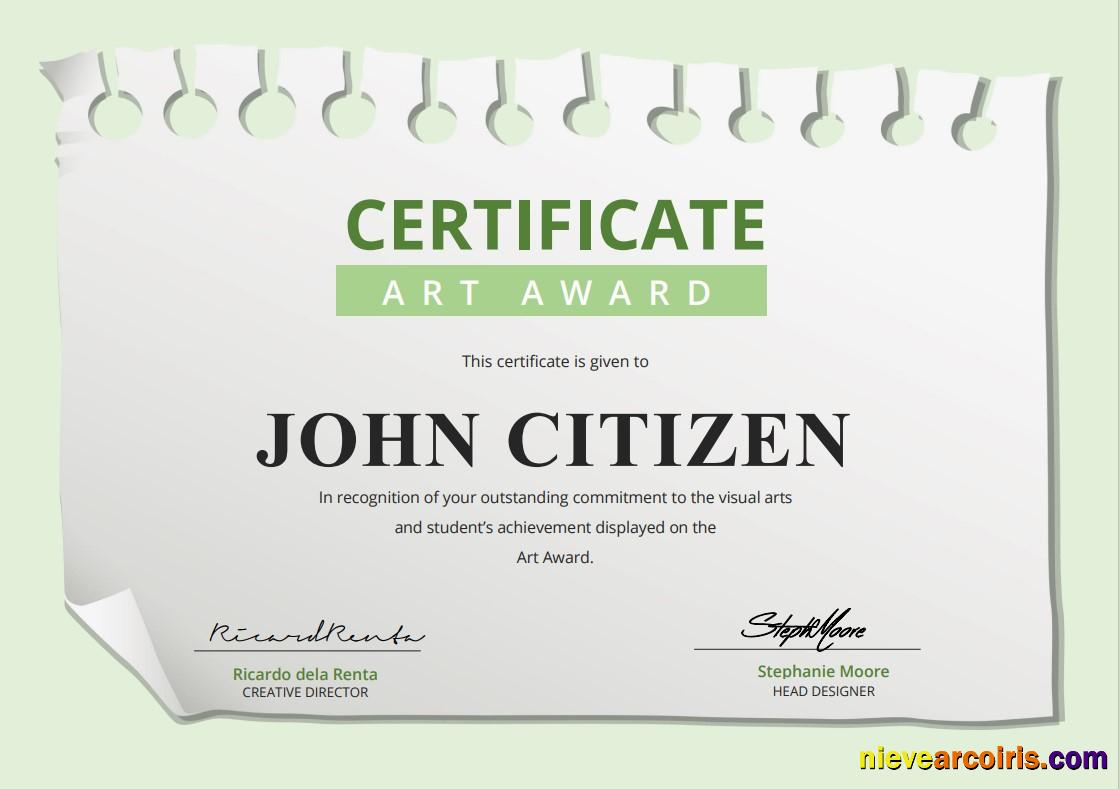 USA Art Award Certificate